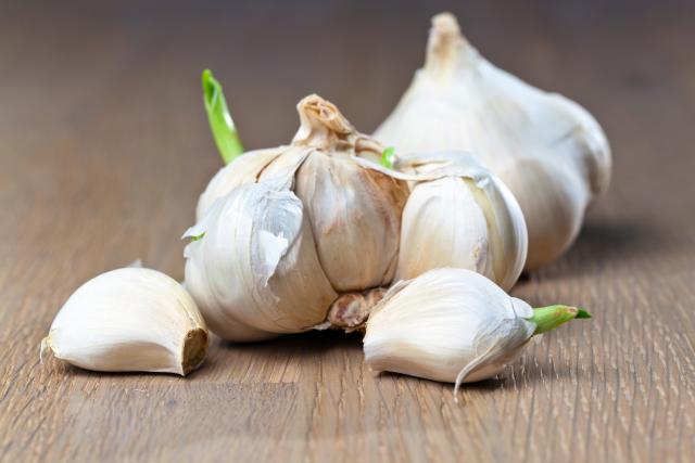 Da li smemo da jedemo proklijali beli luk?